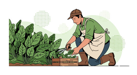 Gardener Harvesting Herbs from a Fresh Garden, Vegetable Gardening, Healthy Eating