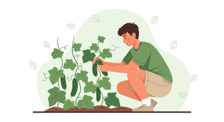 Gardener Harvests Fresh Cucumbers from a Thriving Vegetable Patch Scene
