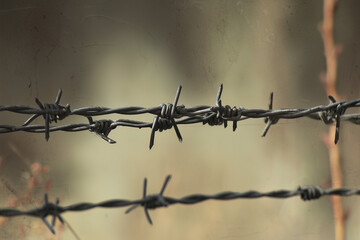 A close-up of rusty barbed wire with a blurred neutral background.