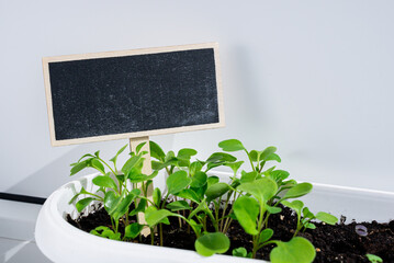 Balcony indoor garden with chalkboard sign
