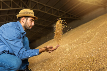 Young man in warehouse holds soybeans in hands and checks grain quality, concept of agriculture