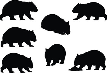Wombat silhouette set, Australian marsupial vector, animal illustration poses, unique wildlife clipart, nature design graphic