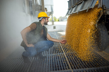 Truck unloading corn at collection point with worker