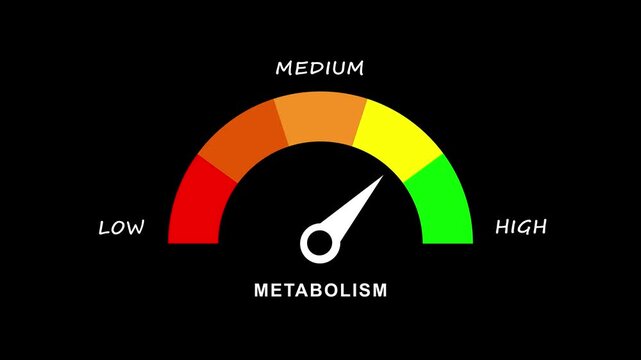Animated digital trade tariffs gauge level meter, presentation element moving from low to high level, danger sign appears, color-coded scale, finance and Motion graphics of level miter concept.