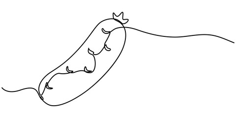 Continuous line drawing of cucumber, One single line sketch art concept of fresh food fruit and vegetable. Vector illustration editable stroke. 