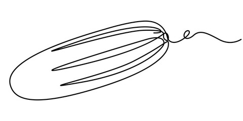 Continuous line drawing of cucumber, One single line sketch art concept of fresh food fruit and vegetable. Vector illustration editable stroke. 