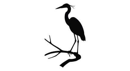Silhouette of a majestic heron perched gracefully on a bare tree branch against a clean white backdrop