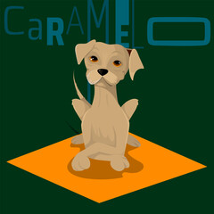 caramel stray dog - Brazilian mascot