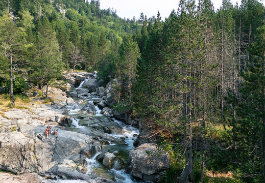 Aerial view of Barruera river and lush forest scenery