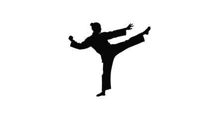 Dynamic silhouette of a martial artist performing a powerful side kick in action