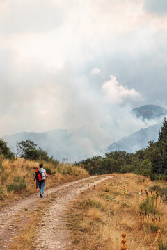 Unrecognizable woman walks near forest fire in Asturias
