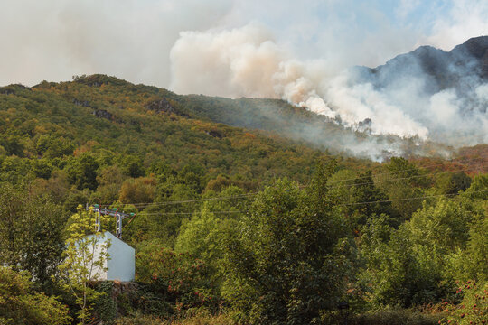 Smoke rising from forest fire in Somiedo Valley
