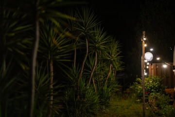 Wandering by the sea in Italy and in the streets