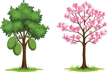 Jackfruit tree, flowering tree, botanical contrast, green foliage, pink blossoms, nature illustration, tropical plants, garden scene, tree comparison, plant diversity