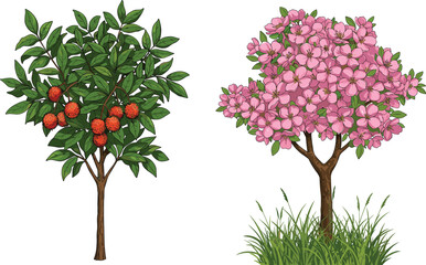 Fototapeta premium Red orange fruit, pink blossom tree, green grass cluster, botanical diversity, seasonal contrast, nature study, plant structure, foliage texture, landscape vegetation