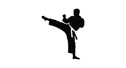 Dynamic karate fighter performing high kick silhouette action martial arts movement athlete