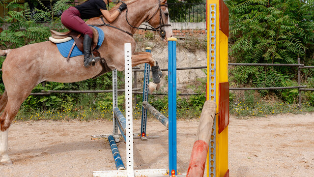 Equestrian jumping over colorful obstacle in arena