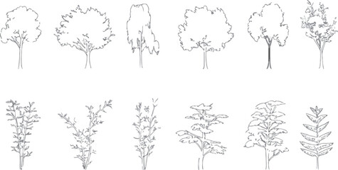 Minimal style cad tree line drawing, Side view, set of graphics trees elements outline symbol for architecture and landscape design drawing white background and landscape design presentations.. Vector