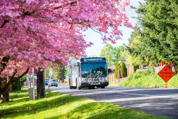 Milwaukie, Oregon, USA - May 10, 2022: Trimet bus travelling  on a spring day on its way to Oregon City. Milwaukie is known as The Dogwood City of the West. © Jessie