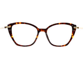 View looking through the tortoisehell brown pattern frame of a pair of attractive women's glasses with a transparent background.