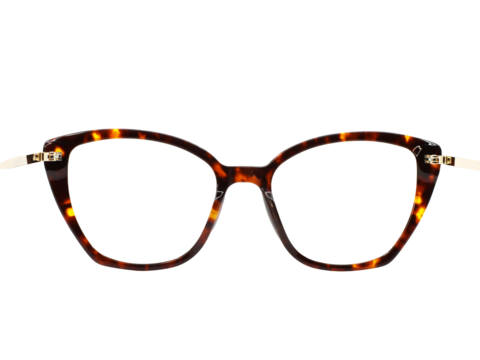 View looking through the tortoisehell brown pattern frame of a pair of attractive women's glasses with a transparent background.