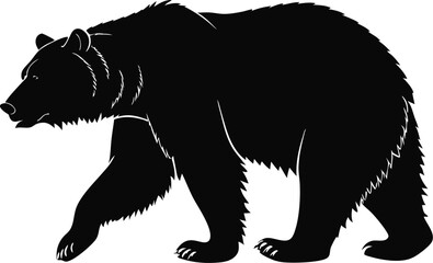 Vector Style Grizzly Bear Walking Left to Right Shaggy Fur and Strong Posture Minimalist Design