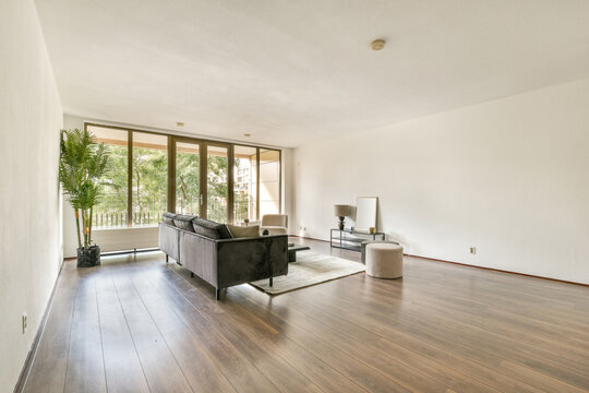 Modern Minimalist Living Room Interior