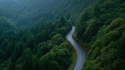 Serene winding road through lush green forest landscape, with misty mountains in the background