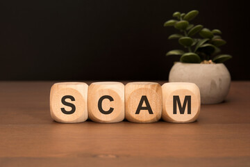Wooden blocks with SCAM letters on wooden desk with plant pot