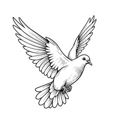 Fototapeta premium Dove flying with outstretched wings in a minimalist outline design 