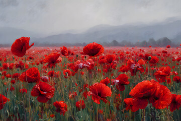wild poppy field - Armistice day background