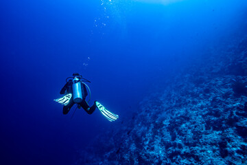 A diver descending on a reef in Maratua atoll in the Derawan archipelago in Indonesia