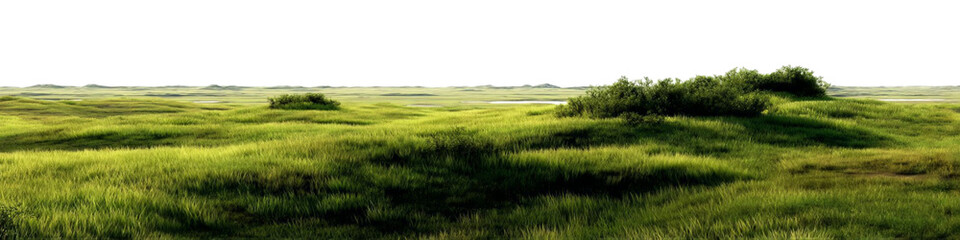 Obraz premium PNG of Lush green hillside landscape with gentle slopes and small bushes, creating a serene and inviting atmosphere.
