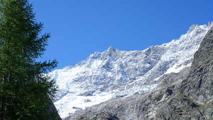 Majestic snow-capped mountain peak rises against a clear blue sky, surrounded by lush green trees, showcasing the beauty of nature and the grandeur of the landscape