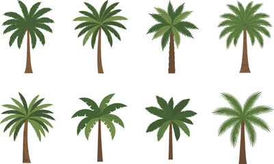 Palm tree vector illustrations, tropical plants, various trunk styles, leaf shapes, landscaping design, botanical diversity, isolated, cartoon style, green foliage