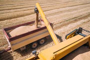 Combine harvester unloading grain in Guadalajara field