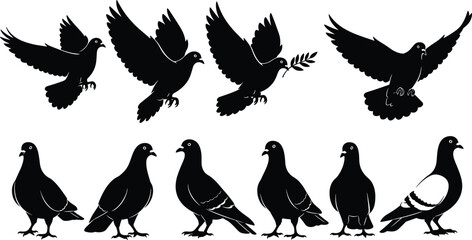 Pigeon and Dove Silhouette Vector Set – Flying and Standing Birds with Olive Branch and Medal for Peace, Symbolism, and Design