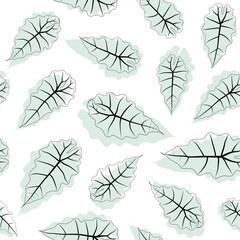 Abstract botanical pattern. Seamless print composed of black line and blue green silhouette of leaves of alocasia polly on white background. Botanical colorful background.
