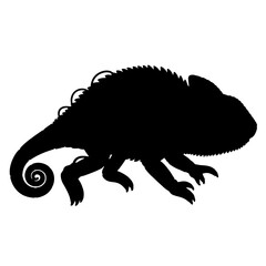 Elegant chameleon silhouette with a distinct coiled tail brings unique exotic animal charm to any creative project