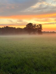 Fototapeta premium fantastic orange and purple sky, foggy sunset at the field in the countryside