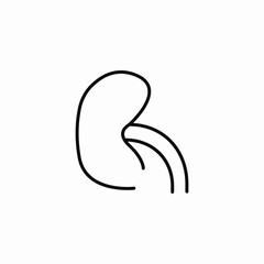 kidney organ icon sign vector