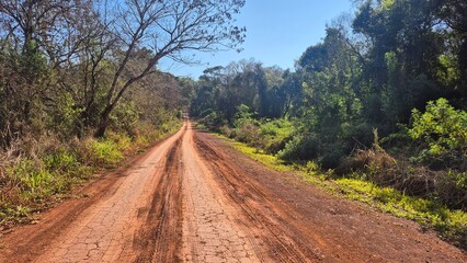 Jungle roads and forests in the Amazon jungle of Argentina
