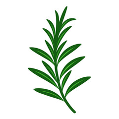 Rosemary silhouette vector art. rosemary isolated on white background.