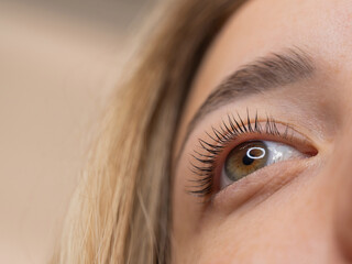Close-up of a woman's eye after eyelash lamination procedure. 
