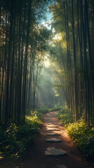 Peaceful Bamboo Forest in Soft Sunlight