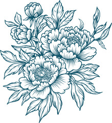 Peony Flower Line Art Illustration in Vintage Botanical Style