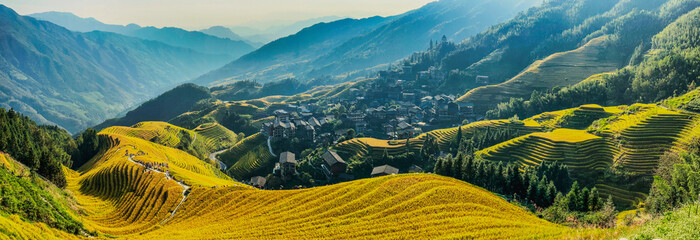  Scenic view of Longji Rice Terraces in Guangxi, China, with golden fields and morning mist enveloping distant hills