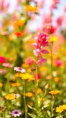 wildflower field in full bloom under sunshine during springtime
