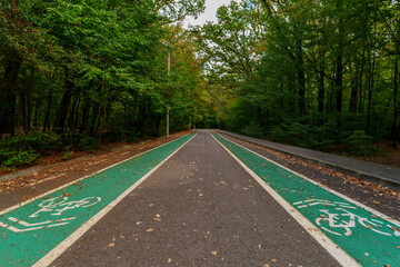 Double bike path through forest in autumn