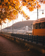 Budapest Yellow Tram and Elisabeth Bridge at Autumn Golden Hour